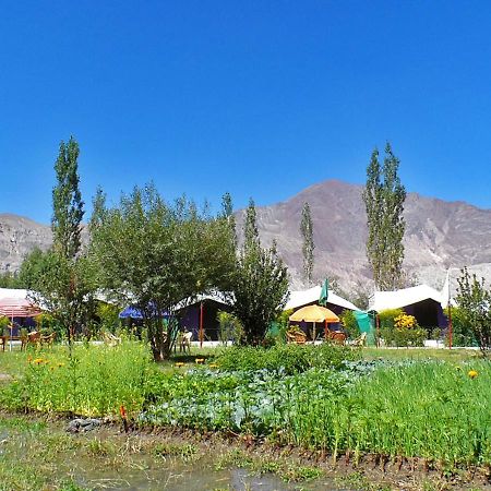 Tiger Camp Nubra Otel Dış mekan fotoğraf