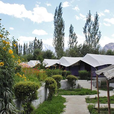 Tiger Camp Nubra Otel Dış mekan fotoğraf