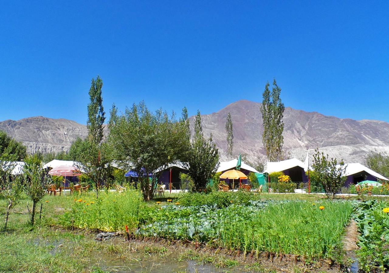 Tiger Camp Nubra Otel Dış mekan fotoğraf