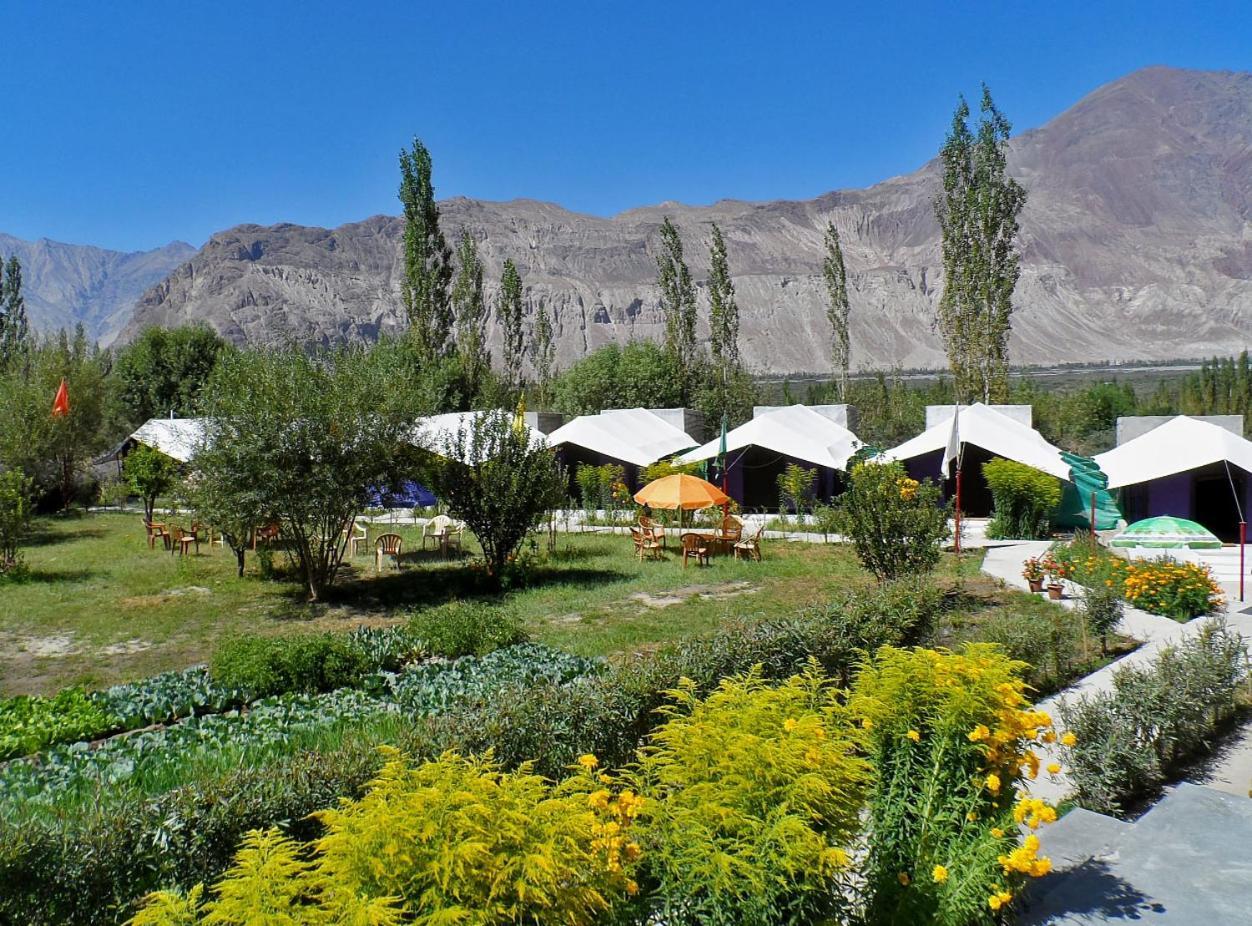 Tiger Camp Nubra Otel Dış mekan fotoğraf