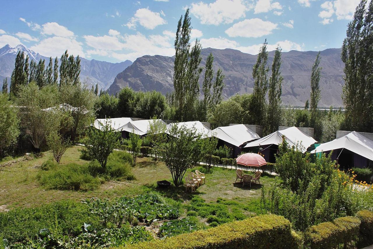 Tiger Camp Nubra Otel Dış mekan fotoğraf