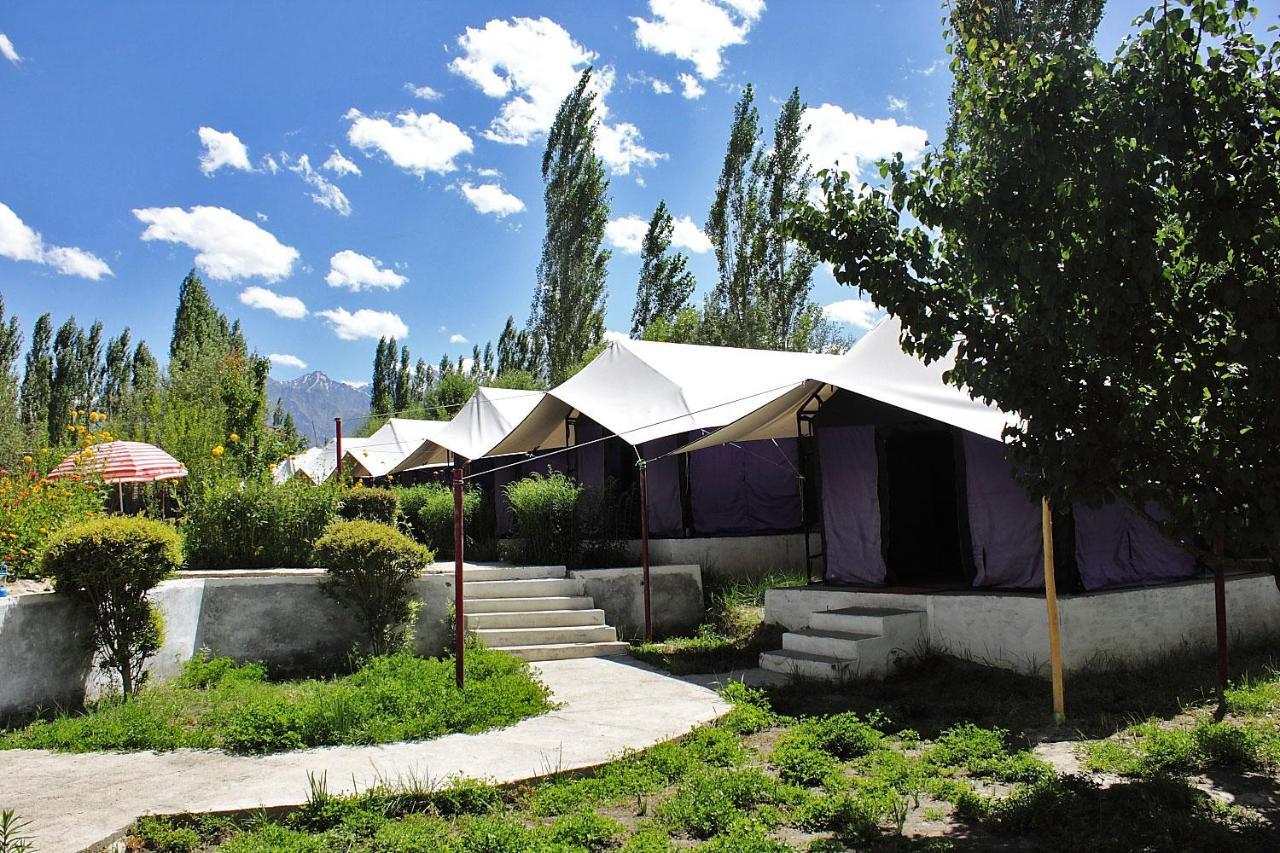 Tiger Camp Nubra Otel Dış mekan fotoğraf